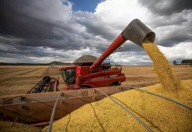 Devido ao recesso e com produtos em falta, preço do frete caiu em MS no mês de dezembro