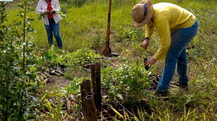 Nova Andradina inicia recuperação de nascentes para fortalecer preservação ambiental